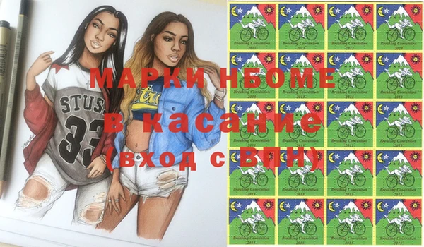 прущие грибы Беломорск