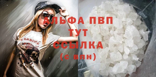 прущие грибы Беломорск