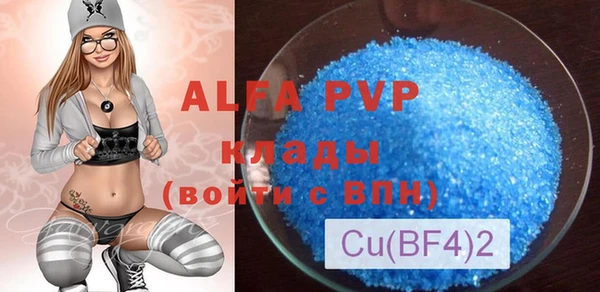 прущие грибы Беломорск