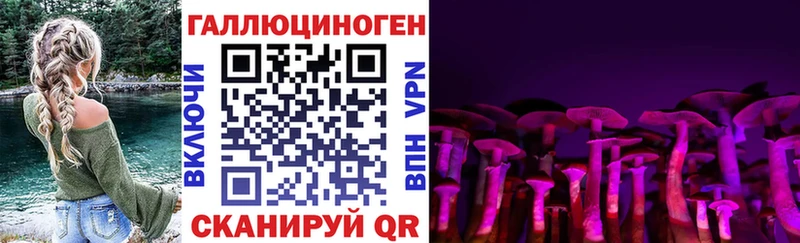 Галлюциногенные грибы прущие грибы  Касли 